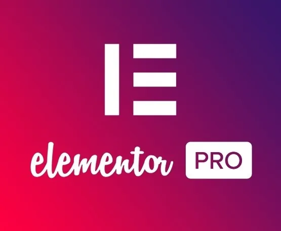 Plugin Elementor Pro